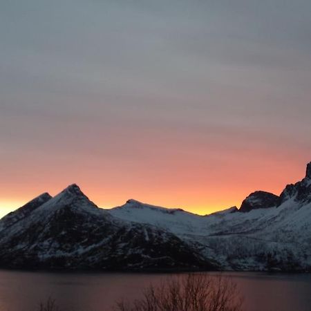 Senja, Husoy I Senja. Leilighet Med Utsikt Over Fjord Og Fjell Tofta Zewnętrze zdjęcie
