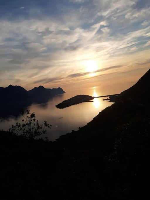 Senja, Husoy I Senja. Leilighet Med Utsikt Over Fjord Og Fjell Tofta Zewnętrze zdjęcie