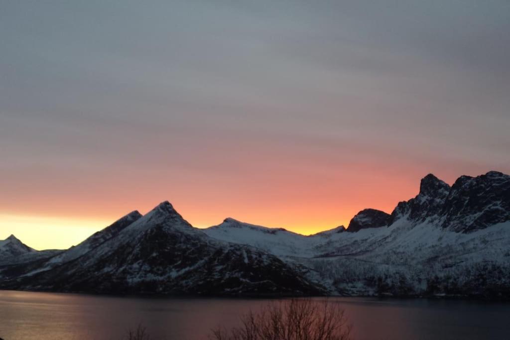 Senja, Husoy I Senja. Leilighet Med Utsikt Over Fjord Og Fjell Tofta Zewnętrze zdjęcie